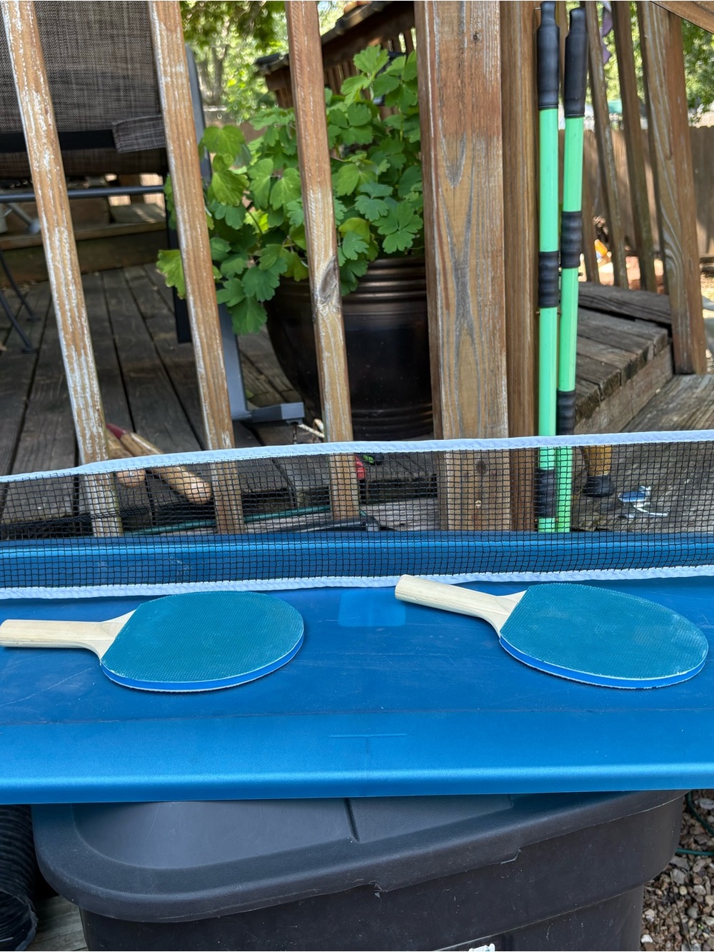 Blue Paddle Ball Set - Home Games